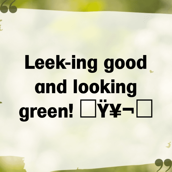 222+ Leek Captions For Instagram (Fresh & Trendy) 4 Leek Captions Photo For Instagram-qHWOcw