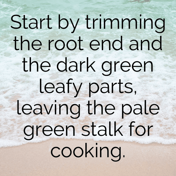 222+ Leek Captions For Instagram (Fresh & Trendy) 8 Leek Captions Photo For Instagram-rxb37N