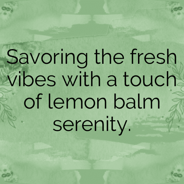 314+ Lemon Balm Captions For Instagram In 2025 6 Lemon Balm Captions Image For Instagram-dSnZ7i