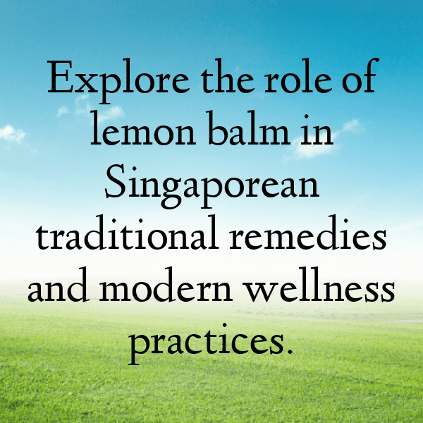 314+ Lemon Balm Captions For Instagram In 2025 7 Lemon Balm Captions Image For Instagram-OShwB3