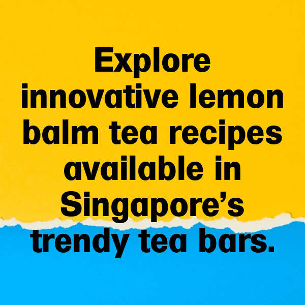 314+ Lemon Balm Captions For Instagram In 2025 9 Lemon Balm Captions Image For Instagram-TltKYv