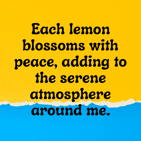 226+ Lemon Captions For Instagram (Best, Funny & Short) 16 Lemon Captions Photo For Instagram-9lyfJG