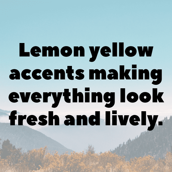 226+ Lemon Captions For Instagram (Best, Funny & Short) 17 Lemon Captions Photo For Instagram-Gq8dLM