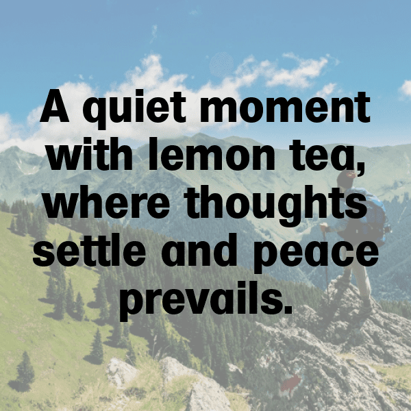 226+ Lemon Captions For Instagram (Best, Funny & Short) 15 Lemon Captions Photo For Instagram-hO3cin