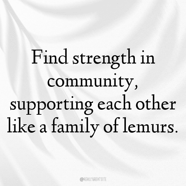 Lemur Captions Image For Instagram-vddcrt