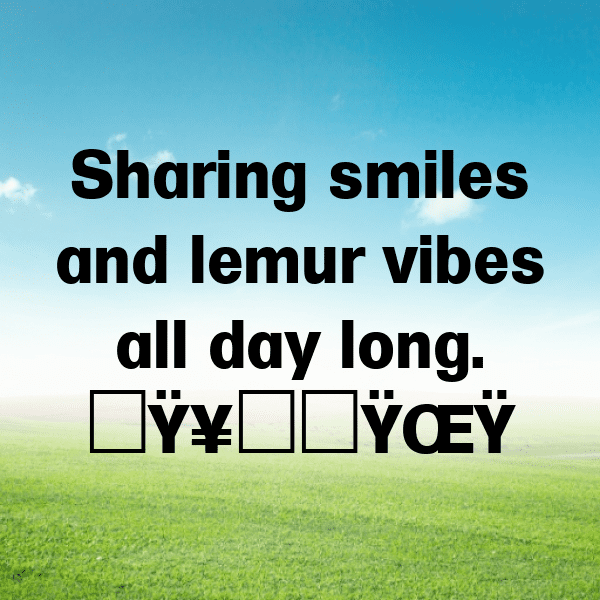 Lemur Captions Photo For Instagram-HWjPDg