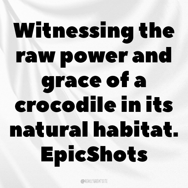 Lemur Captions Photo For Instagram-n50hQd