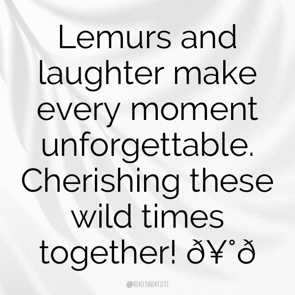 Lemur Captions Photo For Instagram-qPMISj