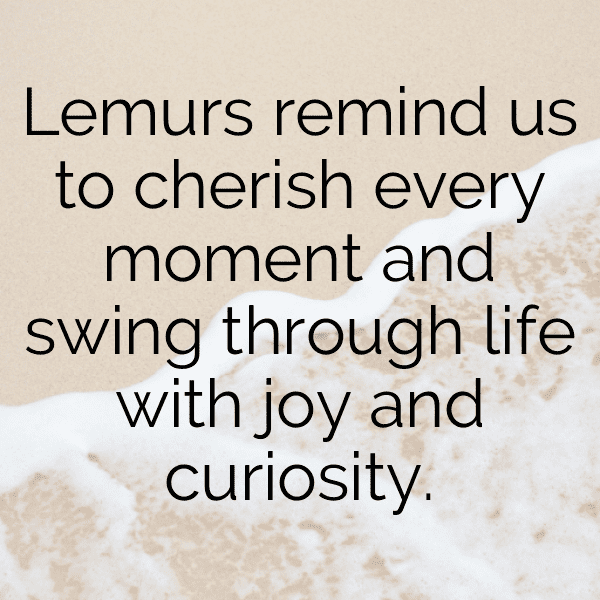 Lemur Captions Photo For Instagram-VhDDTG