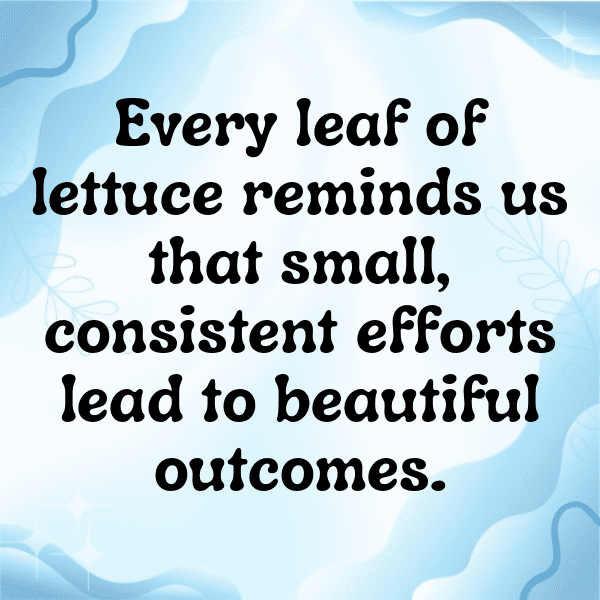 255+ Lettuce Captions For Instagram (Fresh & Trendy) 15 Lettuce Captions Image For Instagram-k2VuIq