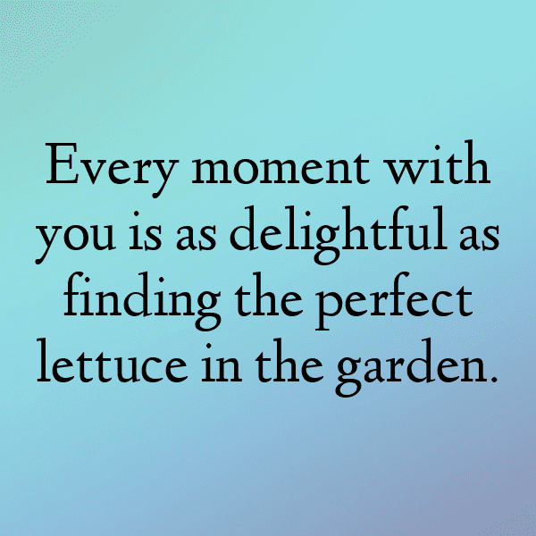 255+ Lettuce Captions For Instagram (Fresh & Trendy) 5 Lettuce Captions Image For Instagram-mUFg6T