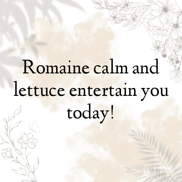 255+ Lettuce Captions For Instagram (Fresh & Trendy) 4 Lettuce Captions Image For Instagram-S4kmux