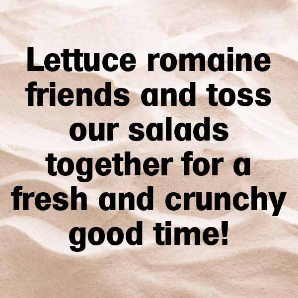 255+ Lettuce Captions For Instagram (Fresh & Trendy) 3 Lettuce Captions Photo For Instagram-eoK2zQ