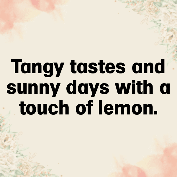 255+ Lettuce Captions For Instagram (Fresh & Trendy) 13 Lettuce Captions Photo For Instagram-rk6juo