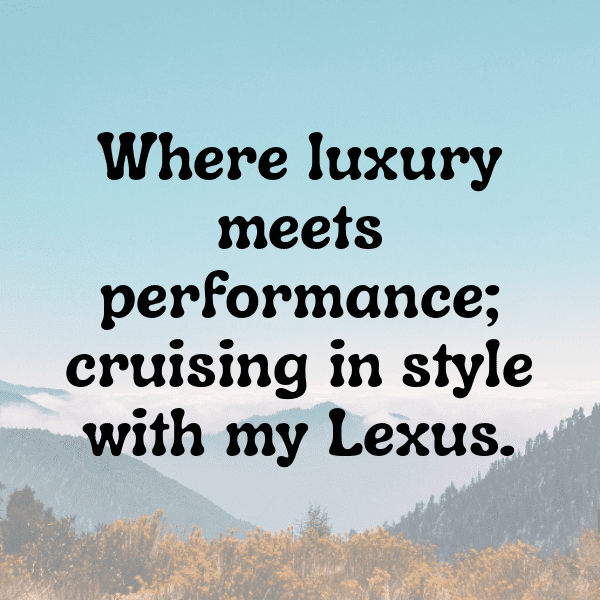 341+ Lexus ES Captions for Instagram (Trending, Funny & Top) 11 Lexus ES Captions Photo for Instagram-HVHXJD