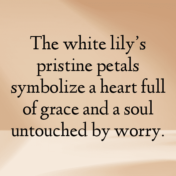 234+ Lily Captions For Instagram (Trending, Funny & Top) 20 Lily Captions Image For Instagram-0o0HPY