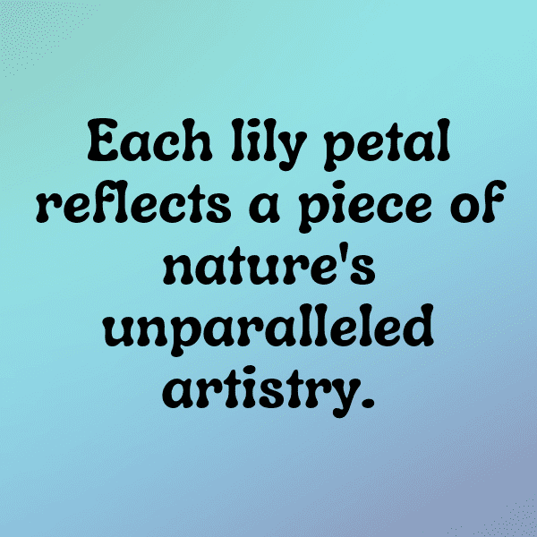 234+ Lily Captions For Instagram (Trending, Funny & Top) 14 Lily Captions Image For Instagram-dqLK1V