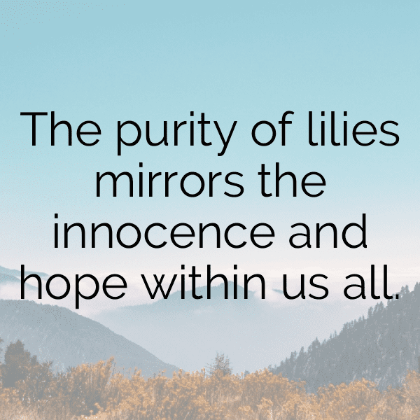 234+ Lily Captions For Instagram (Trending, Funny & Top) 8 Lily Captions Image For Instagram-goUwgj