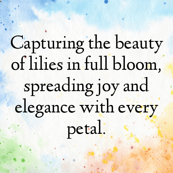 234+ Lily Captions For Instagram (Trending, Funny & Top) 3 Lily Captions Image For Instagram-ka2drD