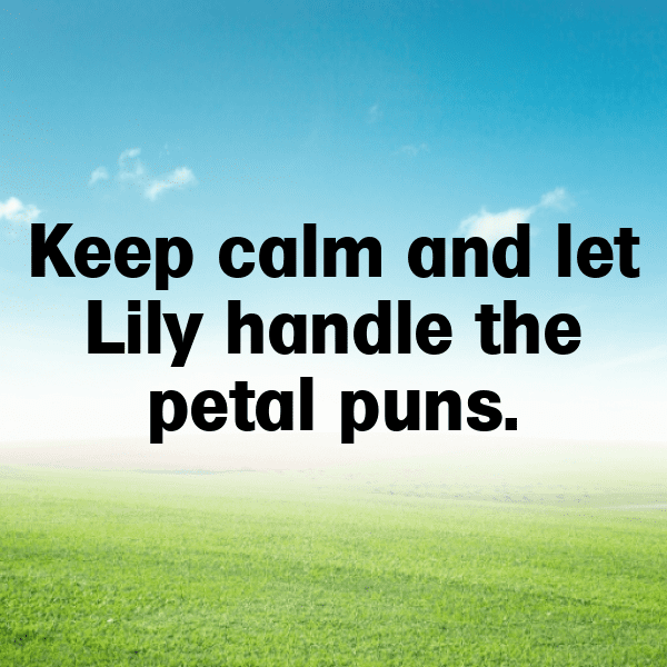 234+ Lily Captions For Instagram (Trending, Funny & Top) 4 Lily Captions Image For Instagram-NNKQso