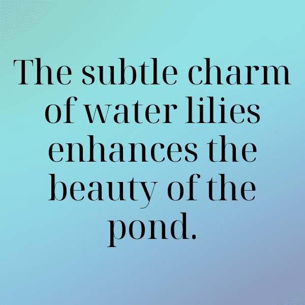 234+ Lily Captions For Instagram (Trending, Funny & Top) 18 Lily Captions Image For Instagram-V2ooJl