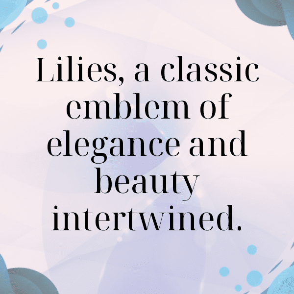 234+ Lily Captions For Instagram (Trending, Funny & Top) 7 Lily Captions Photo For Instagram-HxK820