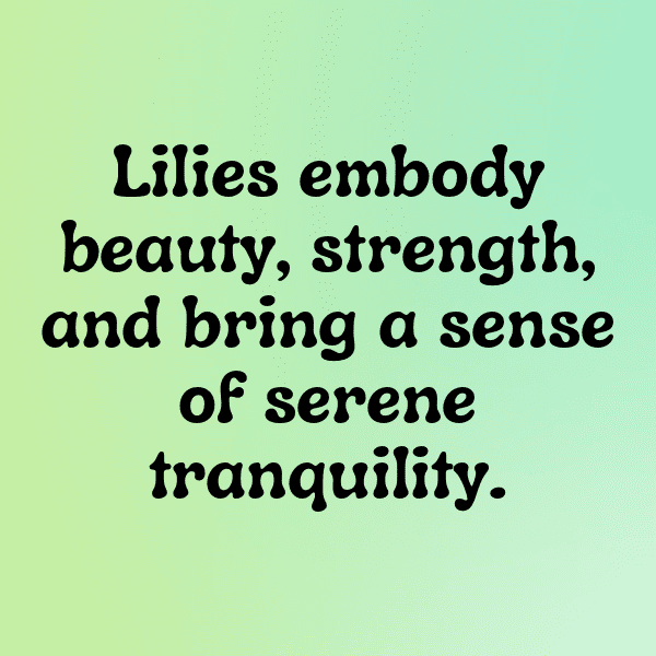 234+ Lily Captions For Instagram (Trending, Funny & Top) 10 Lily Captions Photo For Instagram-oOdXnO