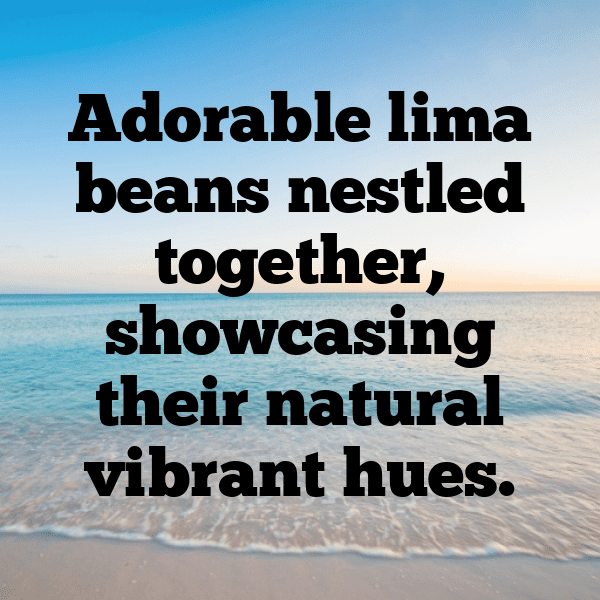 230+ Lima Bean Captions For Instagram (Best, Funny & Short) 6 Lima Bean Captions Image For Instagram-pOI423