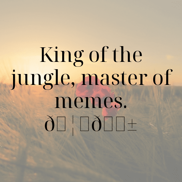 Lion Captions Image For Instagram-CRwd6b