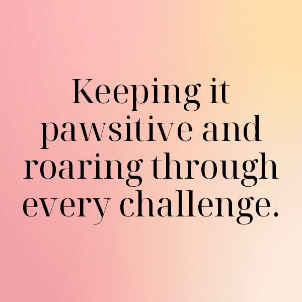 Lion Captions Photo For Instagram-Pv33Cp