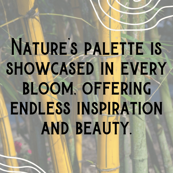 Lisianthus Captions Image For Instagram-8womrx