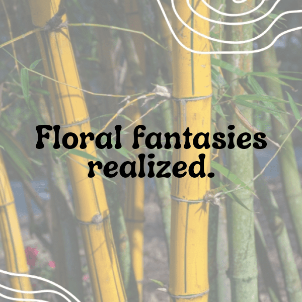 Lisianthus Captions Image For Instagram-CVawbf