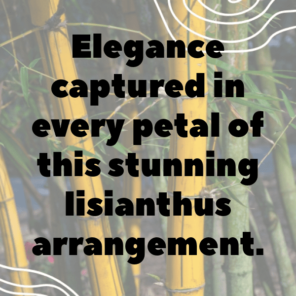 Lisianthus Captions Image For Instagram-m74Ufz