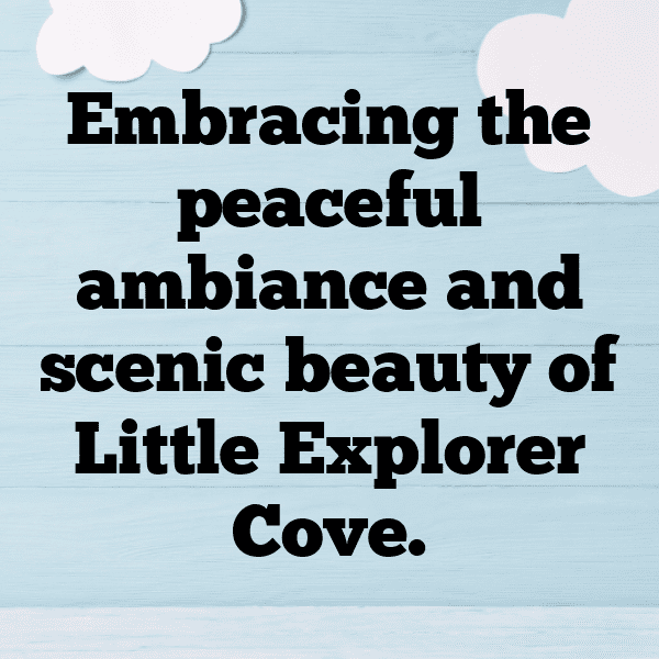 280+ Little Explorer Boy Captions for Instagram (Trending, Funny & Top) 12 Little Explorer Boy Captions Photo for Instagram-NK8RX0