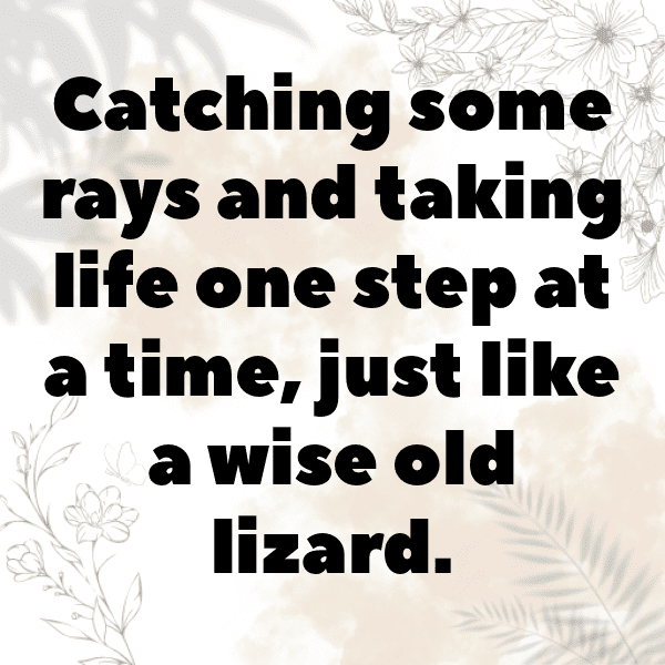 Lizard Captions Image For Instagram-EdMvec