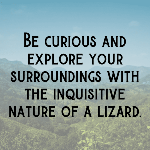 Lizard Captions Image For Instagram-qNgtb0