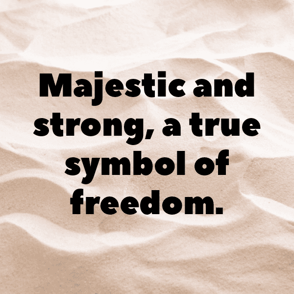 Lizard Captions Image For Instagram-ZM2qAa