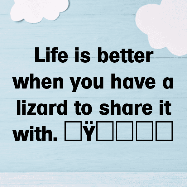 Lizard Captions Photo For Instagram-3BB5ig