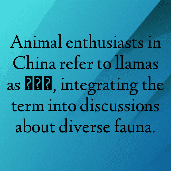 308+ Llama Captions For Instagram (Trending, Funny & Top) 18 Llama Captions Image For Instagram-Vu0AZr