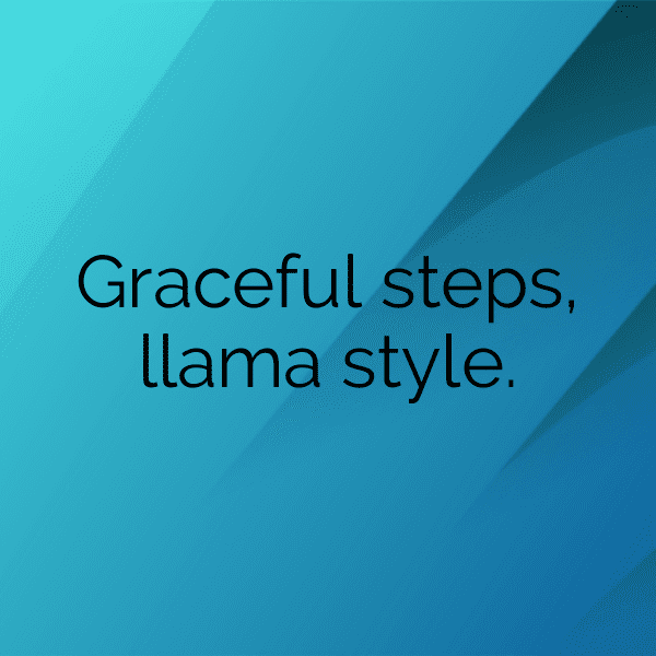308+ Llama Captions For Instagram (Trending, Funny & Top) 10 Llama Captions Photo For Instagram-7Cmtkb