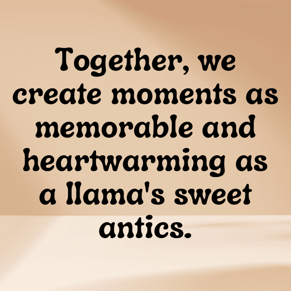 308+ Llama Captions For Instagram (Trending, Funny & Top) 4 Llama Captions Photo For Instagram-B7b70i