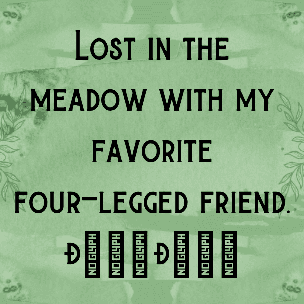 308+ Llama Captions For Instagram (Trending, Funny & Top) 17 Llama Captions Photo For Instagram-pGtzOJ