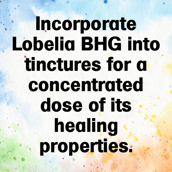 228+ Lobelia Captions For Instagram (Trending, Funny & Top) 3 Lobelia Captions Photo For Instagram-XTgbB1