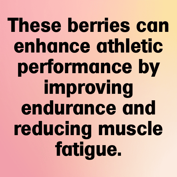 209+ Loganberry Captions For Instagram (Fresh & Trendy) 11 Loganberry Captions Image For Instagram-4J0TIy