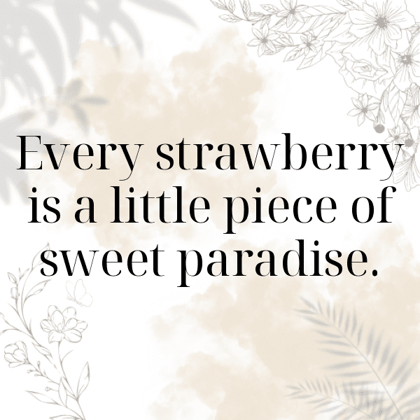 209+ Loganberry Captions For Instagram (Fresh & Trendy) 8 Loganberry Captions Image For Instagram-V1t4wK