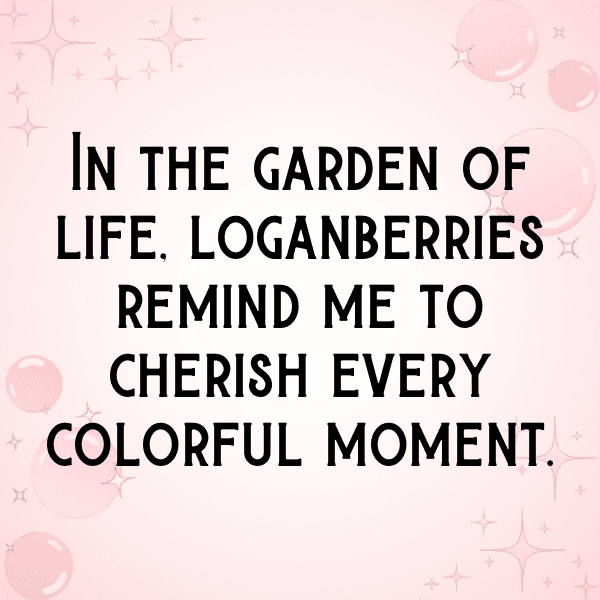 209+ Loganberry Captions For Instagram (Fresh & Trendy) 7 Loganberry Captions Photo For Instagram-gSc7xM