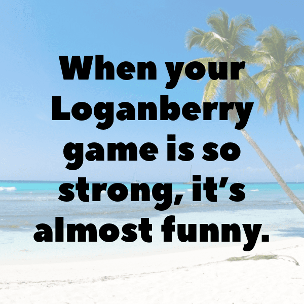 209+ Loganberry Captions For Instagram (Fresh & Trendy) 6 Loganberry Captions Photo For Instagram-kU2B1p