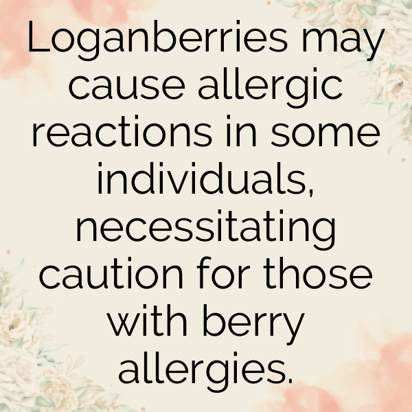 209+ Loganberry Captions For Instagram (Fresh & Trendy) 12 Loganberry Captions Photo For Instagram-lEY8S5