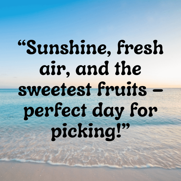 209+ Loganberry Captions For Instagram (Fresh & Trendy) 5 Loganberry Captions Photo For Instagram-oGCV5v