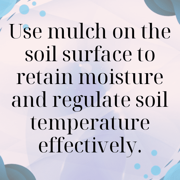 Longan Captions Image For Instagram-cNjo5F